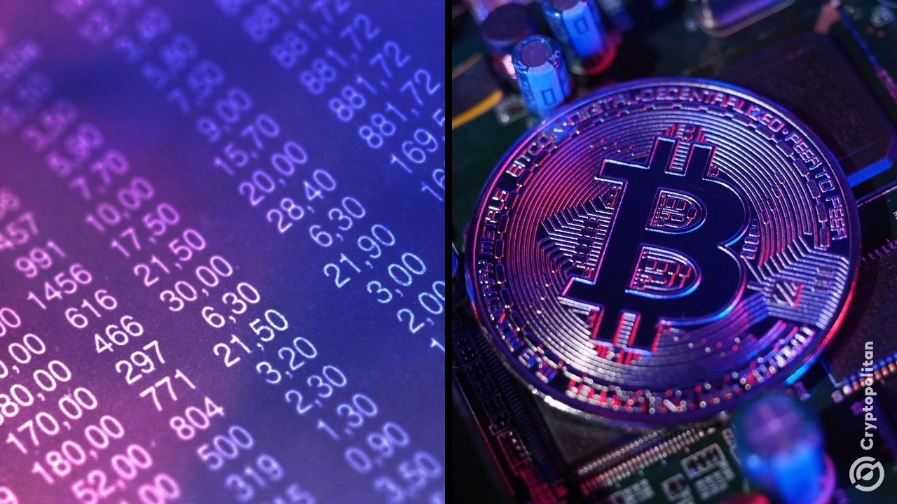 95% 的 BTC 呈上涨趋势,ADA 在大盘代币盈利率方面落后 95% 的 BTC 呈上涨趋势,ADA 在大盘代币盈利率方面落后