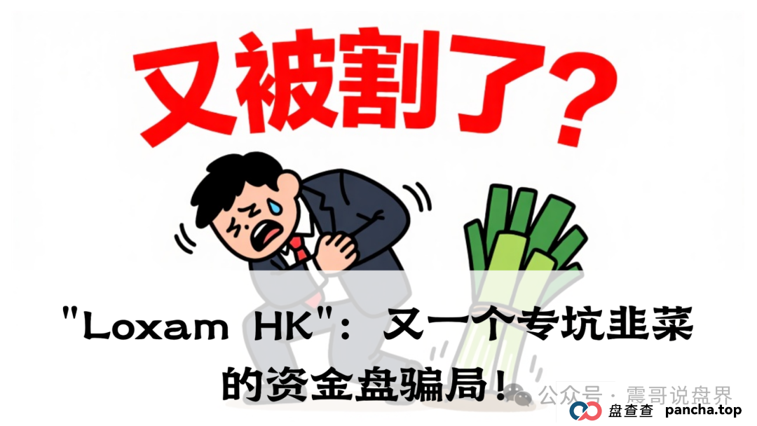 震哥带你扒皮"Loxam HK":又一个专坑韭菜的资金盘骗局!