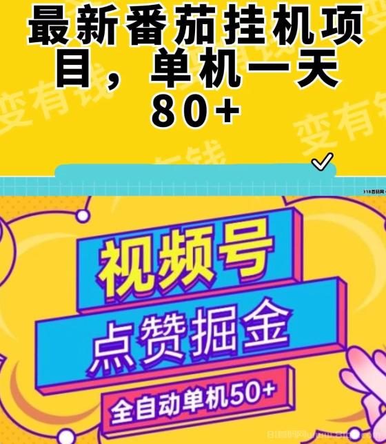 新番茄抖关二台首码，自动托管项目是一个简単易用的自动赚钱平台。